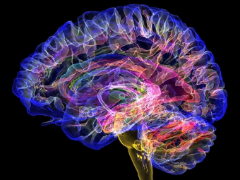 久黄网大脑植入物有助于严重头部损伤恢复